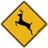 Deer Crossing