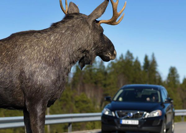 Dangers of Driving on Rural Roads